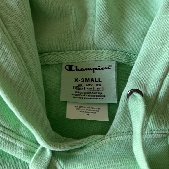 Sold Champion Cropped Hoodie - Picture 2 of 9